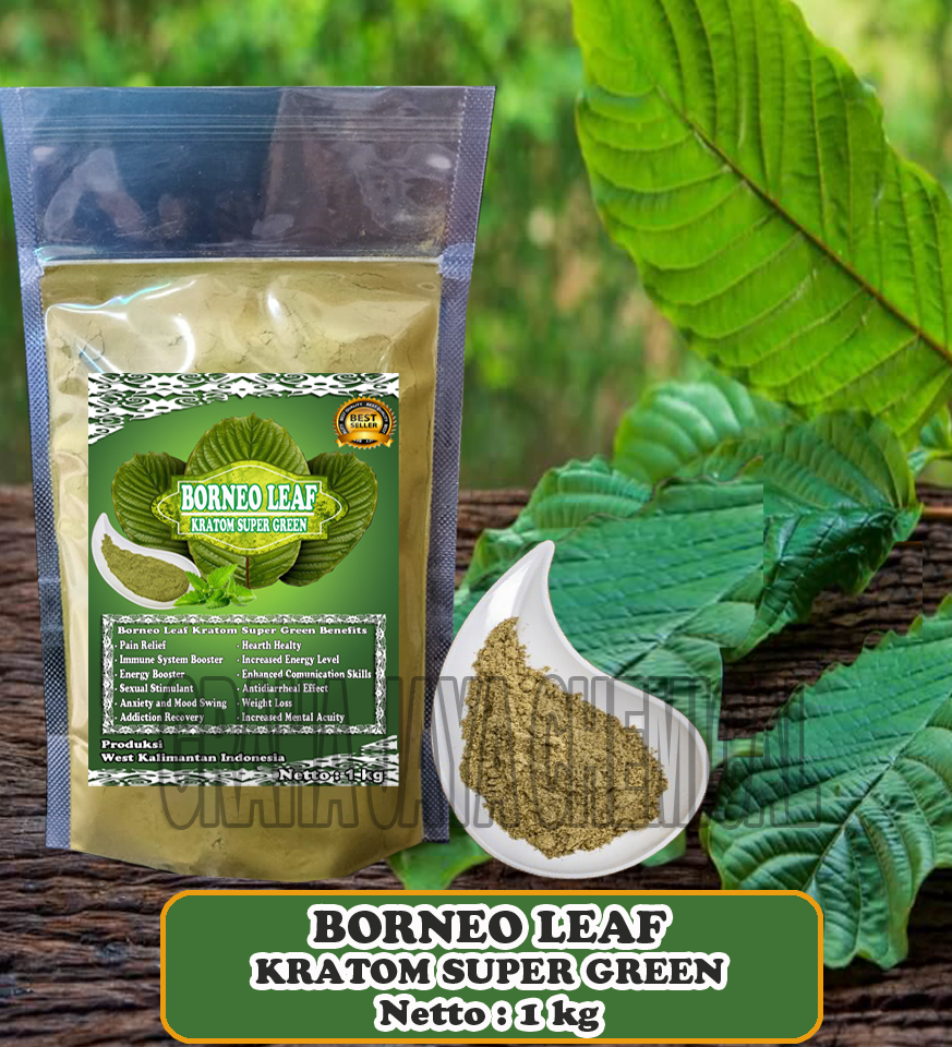 BORNEO LEAF SG 1