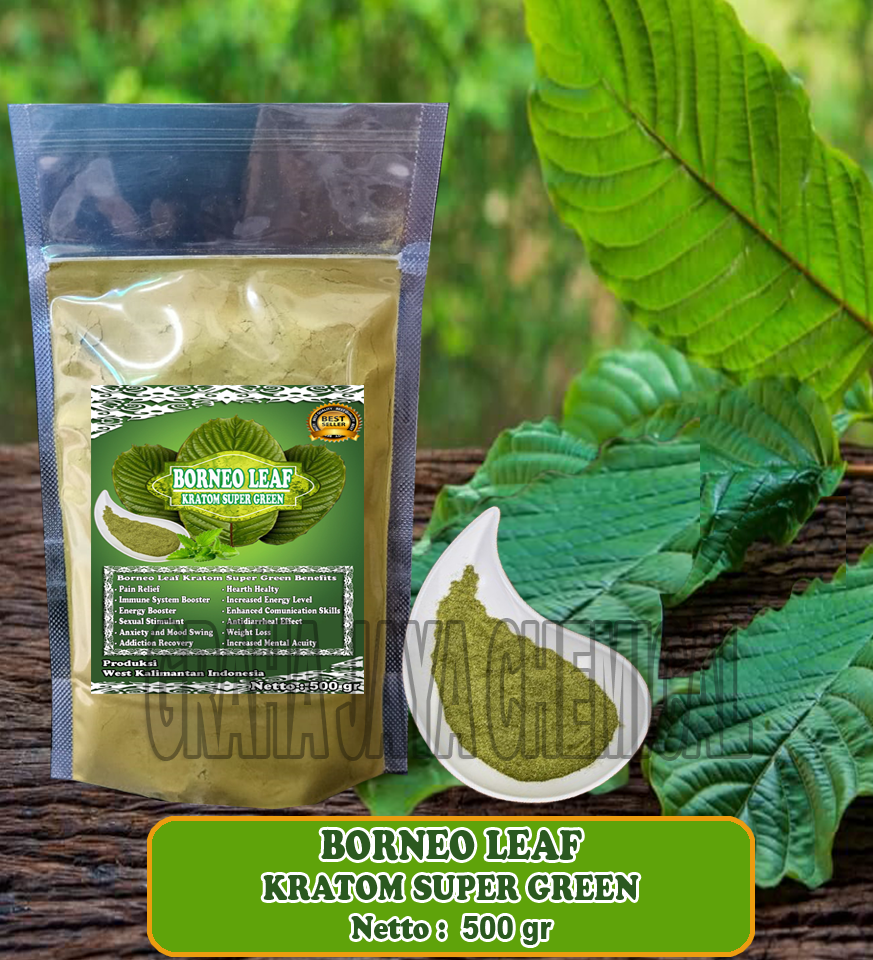 BORNEO LEAF SG 500