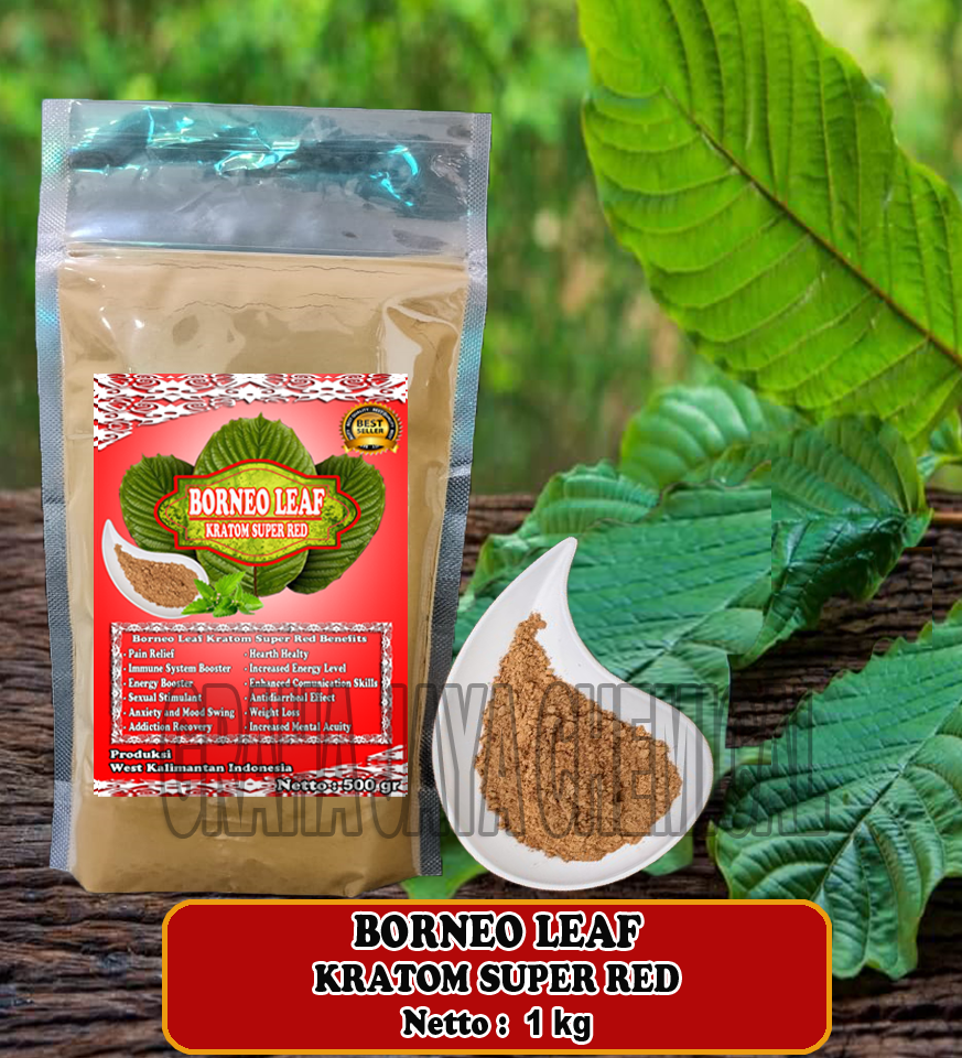 BORNEO LEAF SR 1