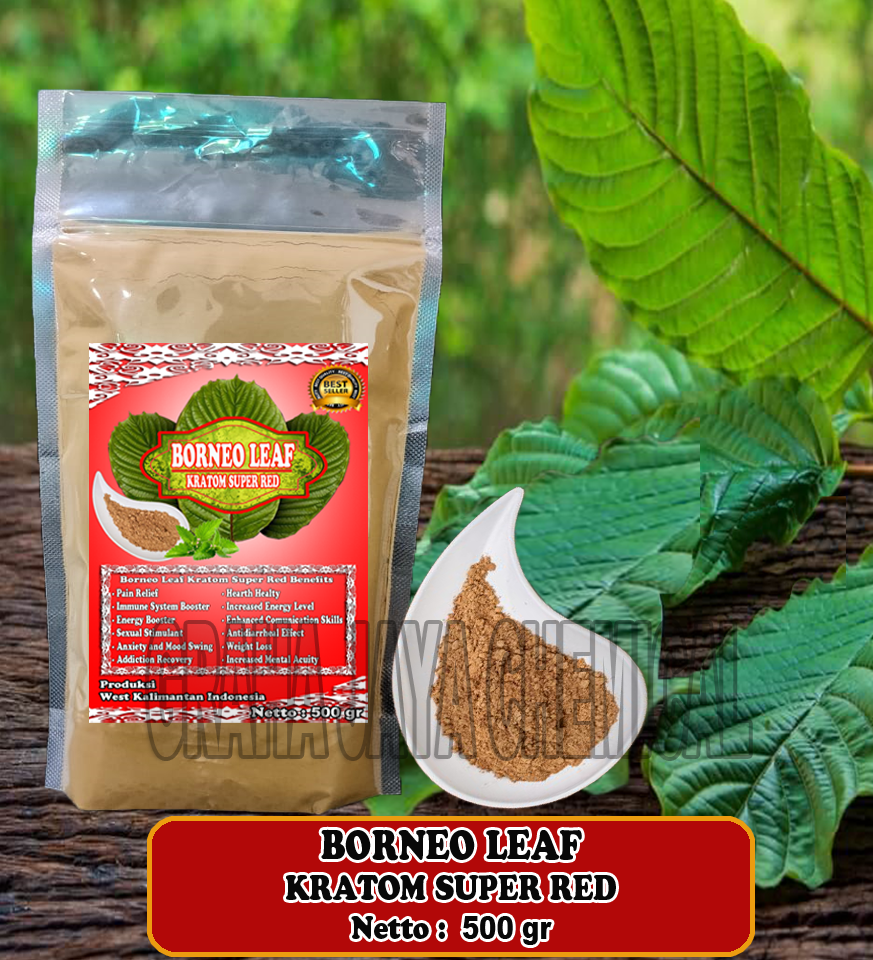 BORNEO LEAF SR 500