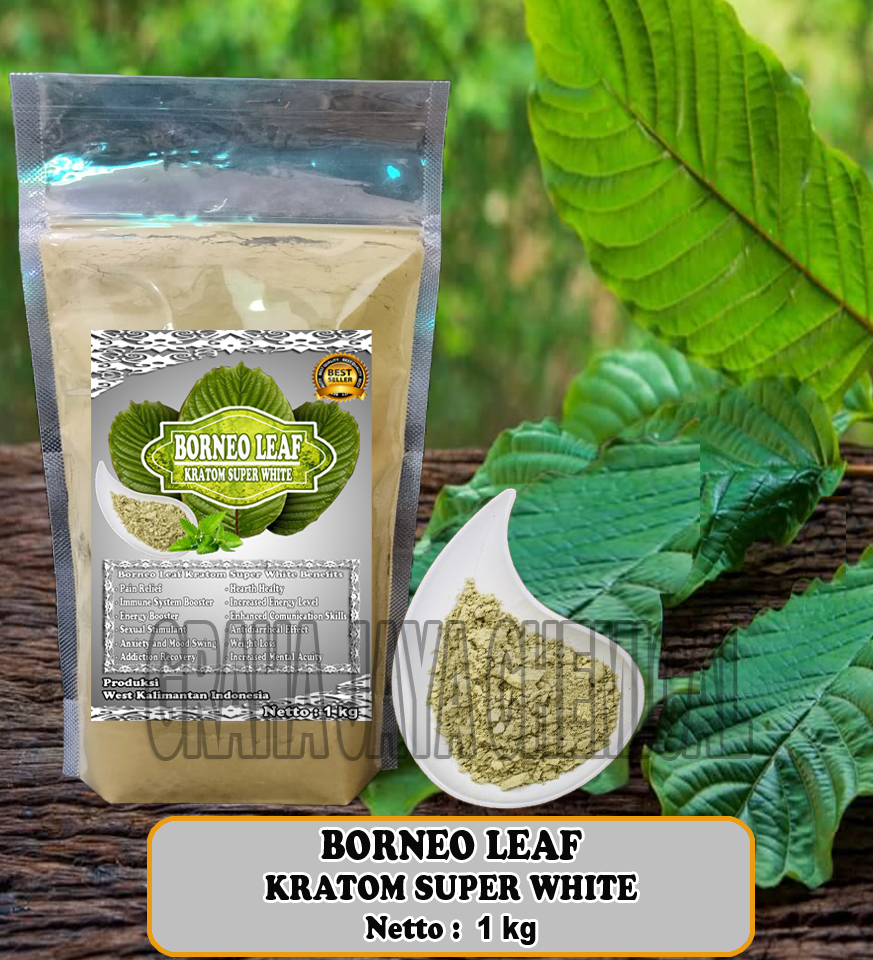 BORNEO LEAF SW 1