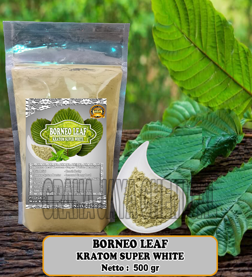 BORNEO LEAF SW 500
