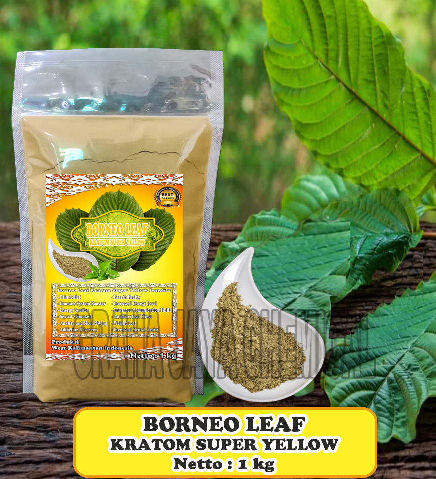 BORNEO LEAF SY 1