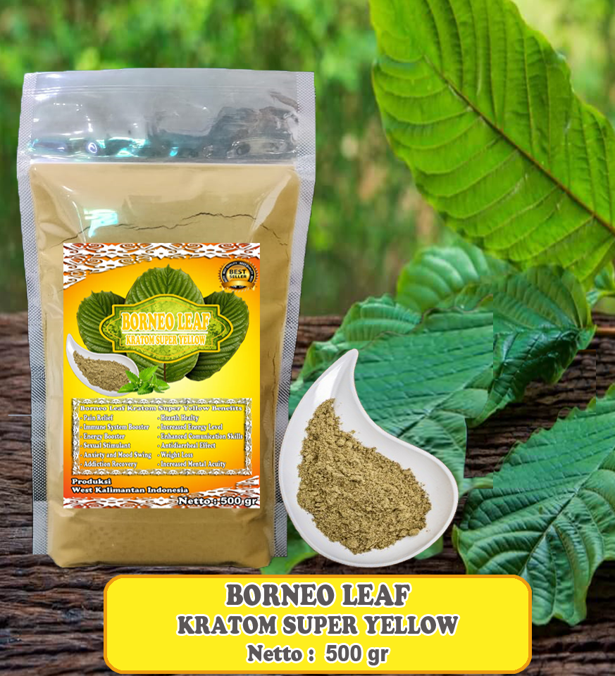 BORNEO LEAF SY 500