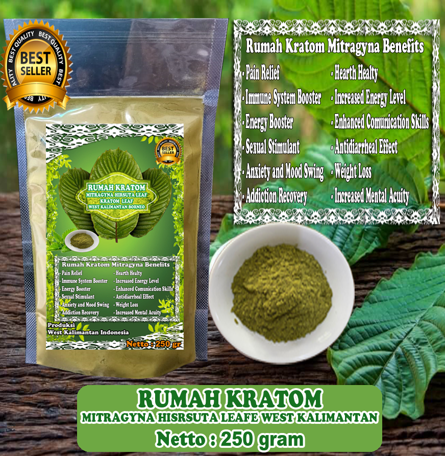 RUMAH KRATOM 250 1
